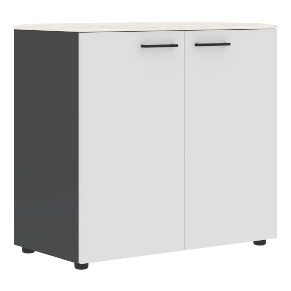 Шкаф с глухими дверьми и топом JLC 85.1 856х452х814 JAY оптом