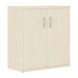 Шкаф с глухими дверьми СТ-3.1 770х365х823 IMAGO оптом