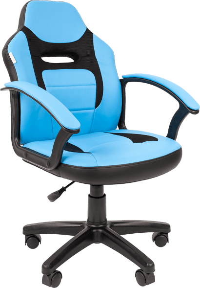 Детское кресло CHAIRMAN KIDS 110 оптом