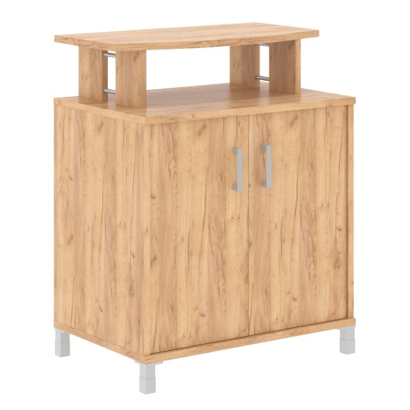 Фригобар с опорами B 450.1 900х600х1145 BORN оптом