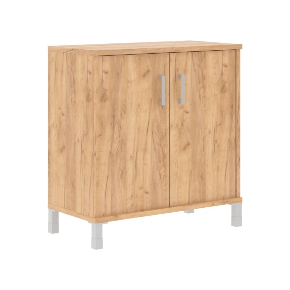 Шкаф низкий с глухими малыми дверьми B 410.2 900х450х920 BORN оптом