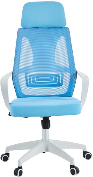 Кресло руководителя CHAIRMAN CH636 белый пластик оптом