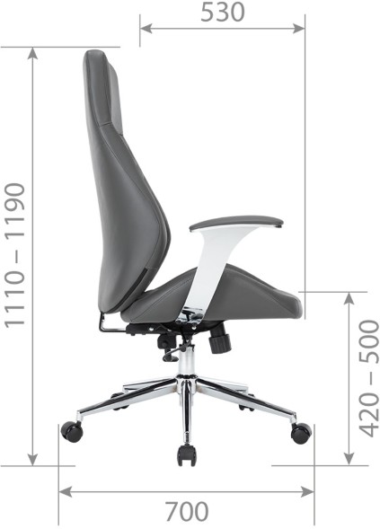 Кресло руководителя CHAIRMAN CH 790 оптом